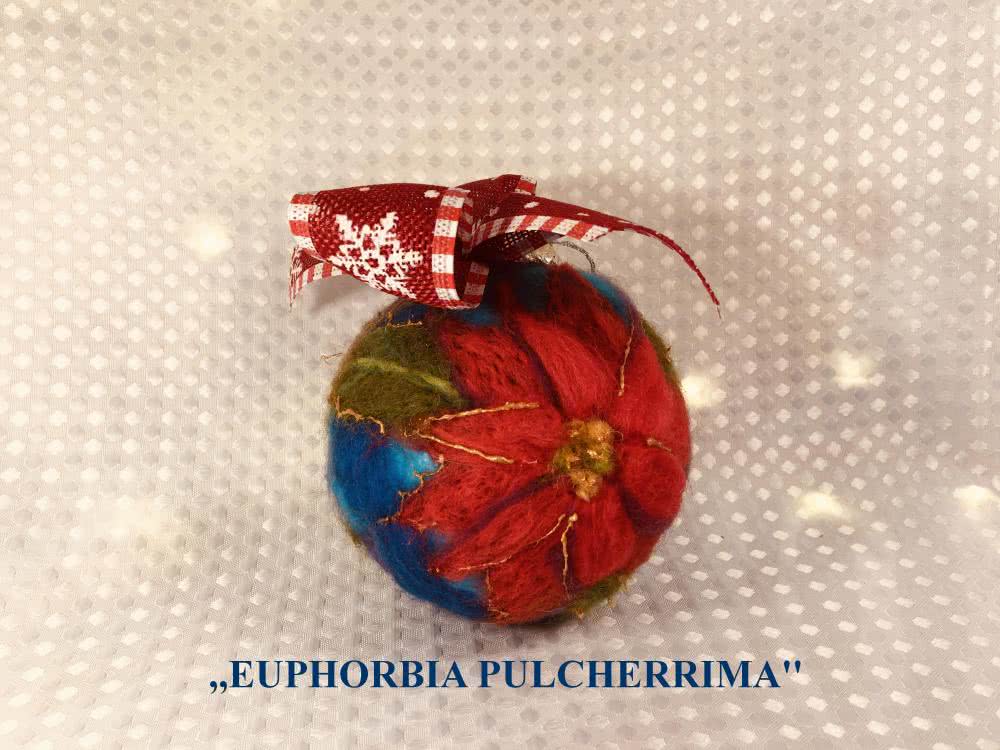 19.Euphorbia pulcherrima.jpg