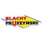 Ekspert Pruszyński