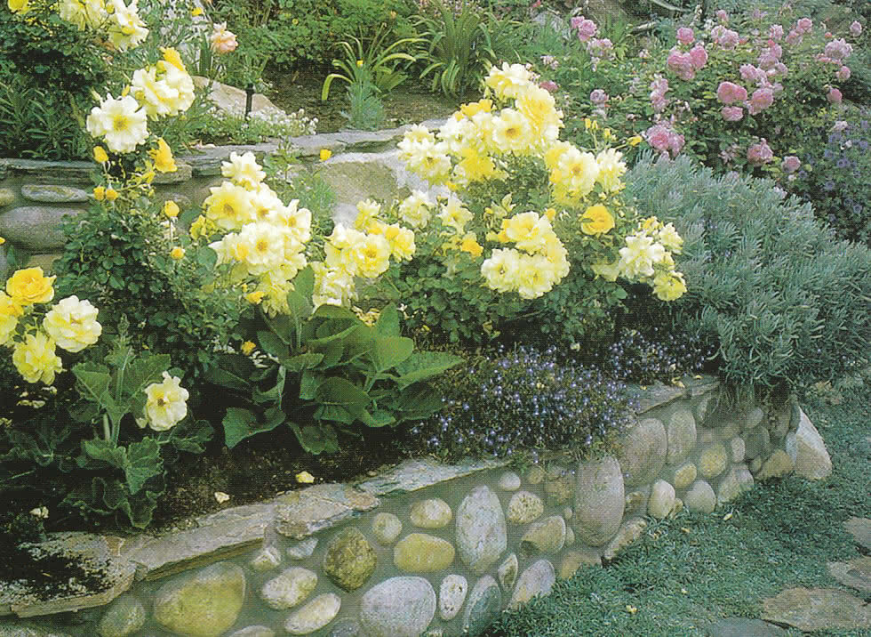 garden-wall-01.jpg